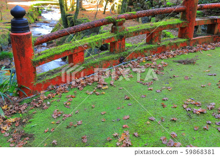 Mossy bridge with falling leaves 59868381