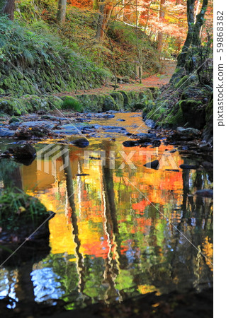 秋天反映在河面上(專注於小直徑) 秋天反映在河面上(專注於小直徑) 59868382