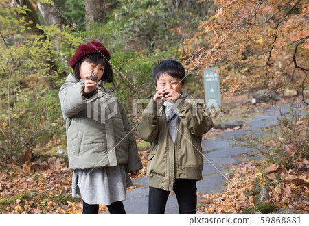 Child with pine cones Child with pine cones 59868881