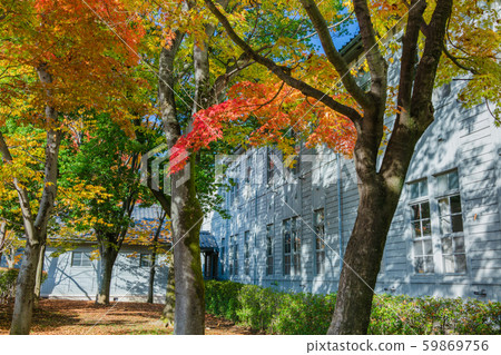 Former Matsumoto High School Building (Agata no Mori Cultural Hall): Autumn Matsumoto City 59869756