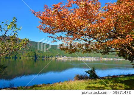 洋後湖紅葉 洋後湖紅葉 59871478