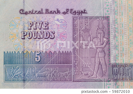 Macro shot of five egyptian pounds bill 59872010