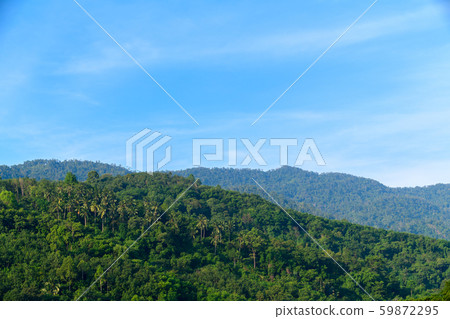 tropical rain forest at khao luang with blue sky, 59872295