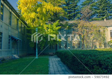 Former Matsumoto High School Building (Agata no Mori Cultural Hall): Autumn Matsumoto City 59873492