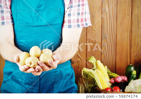 Farmer hold fresh organic potatoes in his hands. 59874174
