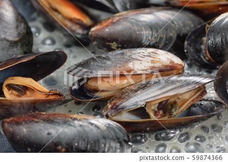 Mussel wine steamed 59874366
