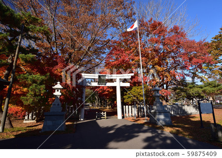 Taking pictures of the grounds of Kameda Hachimangu Shrine in Hakodate City, Hokkaido in late autumn Taking pictures of the grounds of Kameda Hachimangu Shrine in Hakodate City, Hokkaido in late autumn 59875409