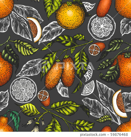 Citrus fruits seamless pattern. Hand drawn vector - Stock Illustration ...