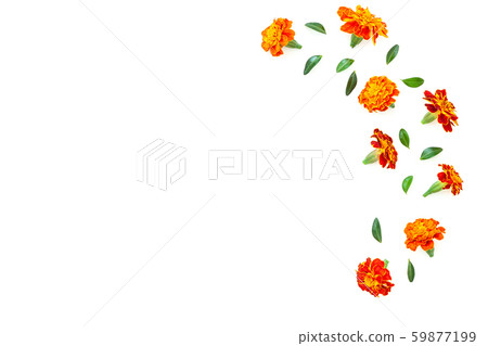 Marigold flower isolated on white background Marigold flower isolated on white background 59877199