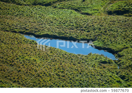 Blue lake and green grass Blue lake and green grass 59877670