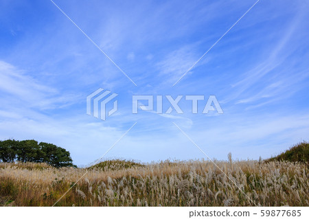 Toshishi Marshland Akita Prefecture Toshishi Marshland Akita Prefecture 59877685