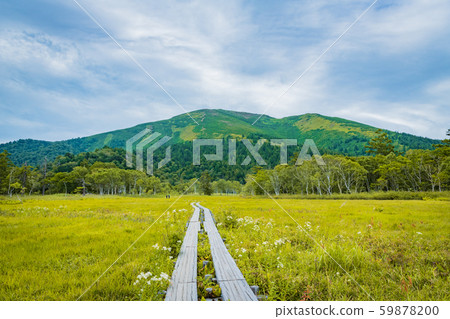 Oze wetlands 59878200