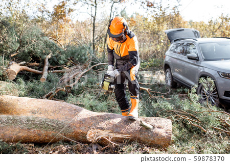 Lumberman logging in the forest Lumberman logging in the forest 59878370