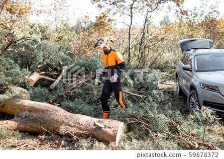 Lumberman logging in the forest Lumberman logging in the forest 59878372