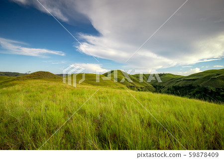 green grass climbs sumba island indonesia photo 59878409