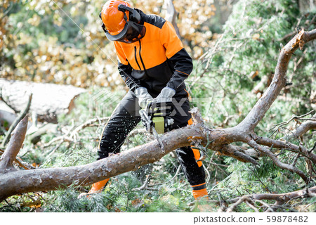Lumberman working in the forest 59878482