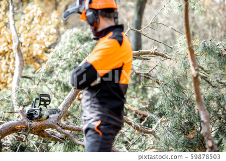 Professional lumberman with chainsaw in the forest 59878503