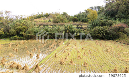 Japanese original scenery (late autumn) 59878625