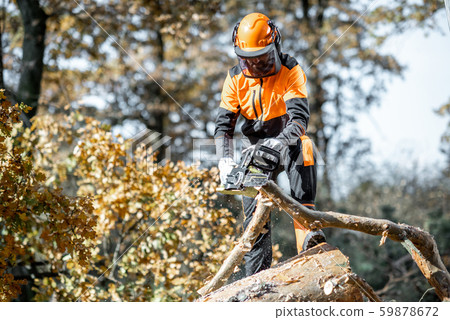 Lumberman workignn in the forest 59878672