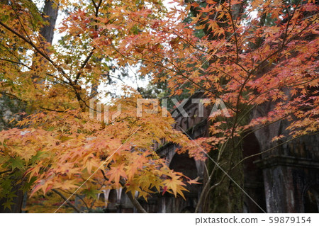 Nanzenji Suirokaku Nanzenji Suirokaku 59879154