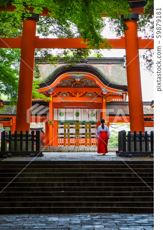 Torii and Miko. Usa Shrine. Oita Prefecture 59879181