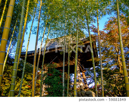 [Shizuoka Prefecture Izu] Scenery in Shuzenji precincts [Belfry, Autumn] 59881849
