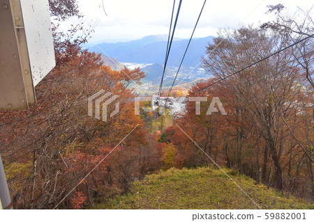 Autumnal scenery of sunlight Autumnal scenery of sunlight 59882001