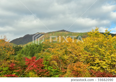 秋日的陽光 59882090