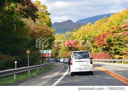 秋日的陽光 秋日的陽光 59882091