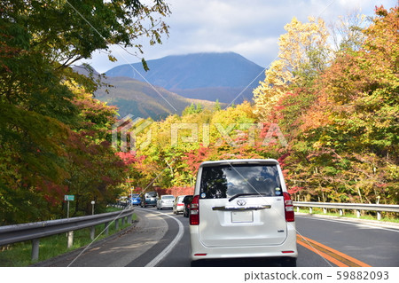 秋日的陽光 59882093