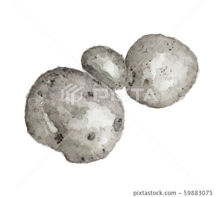 Potato potato watercolor monotone 59883075