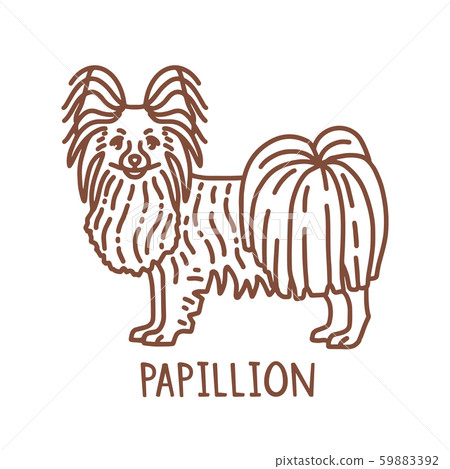 Isolated Papillion in Hand Drawn Doodle Style 59883392