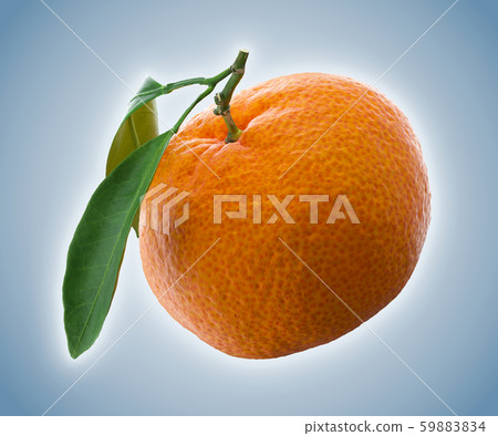 Tangerine or clementine with green leaf isolated on white background 59883834