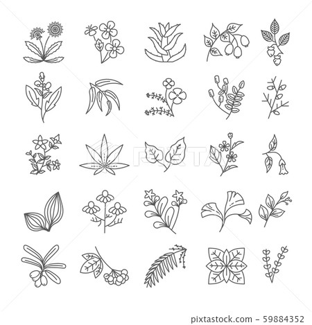 Herbs and spices isolated outline icons, seasonings and medicament 59884352