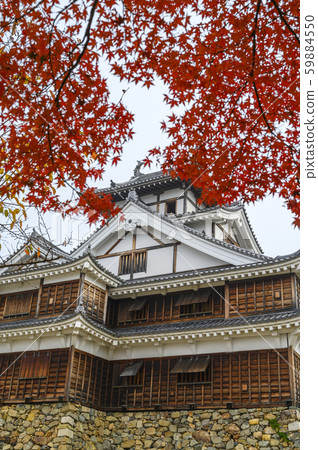 日本福知山城/ 2019年11月/城堡焦點 59884550