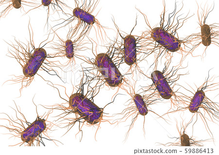 Illustration of Salmonella (computer graphic: white background) 59886413