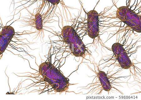Illustration of Salmonella (computer graphic: white background) 59886414
