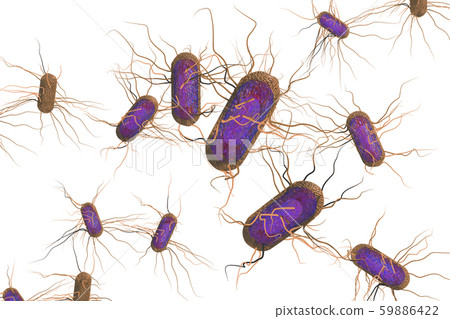 Illustration of Salmonella (computer graphic: white background) 59886422