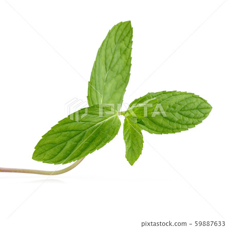 Fresh green mint leaves isolated 59887633