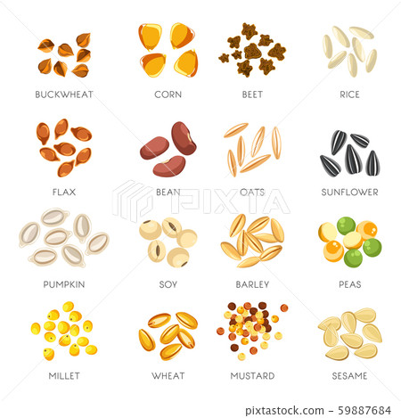 Seeds and grains isolated icons, organic cereal food Seeds and grains isolated icons, organic cereal food 59887684