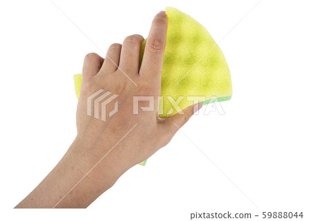 sponge in a female hand 59888044