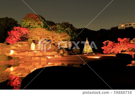 The autumn leaves lit up in Rokugien The autumn leaves lit up in Rokugien 59888738