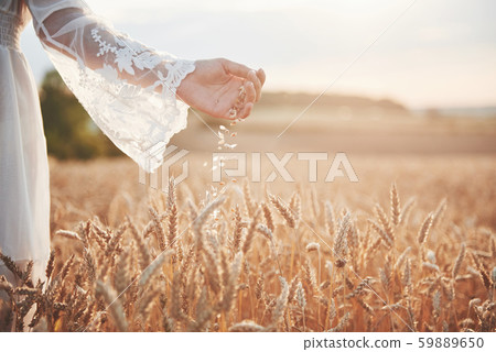 Beautiful girl in a field of wheat in a white dress, a perfect picture in the style lifestyle 59889650