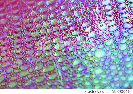 Crocodile skin texture in neon colors. Concept Crocodile skin texture in neon colors. Concept 59890046