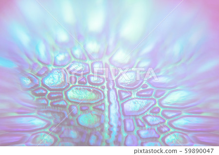 Crocodile skin texture in neon colors on a blurred 59890047