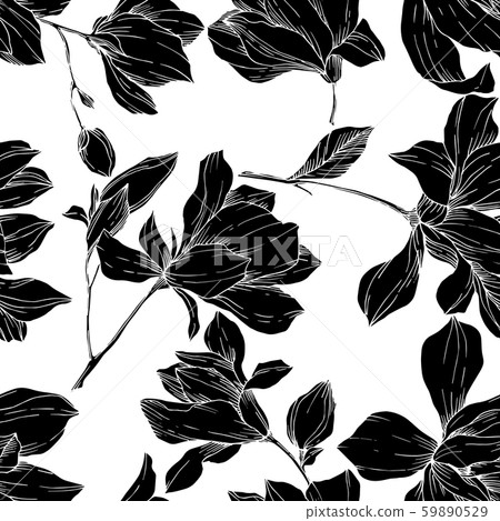 Vector Magnolia floral botanical flowers. Black and white engraved ink art. Seamless background Vector Magnolia floral botanical flowers. Black and white engraved ink art. Seamless background 59890529