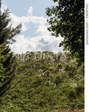 Sky and hill 02 over the trees 02 Sky and hill 02 over the trees 02 59890581