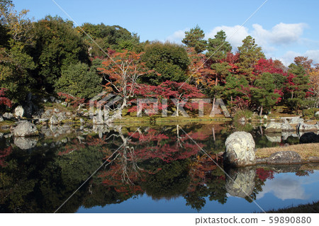 Kyoto Tenryu-ji Temple Autumn leaves in Sogenchi Garden 59890880