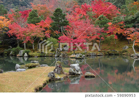 京都天龍寺 Sogenchi Garden 的秋葉 59890953