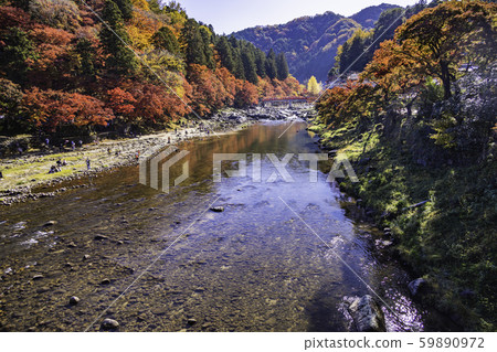 (Aichi) Autumn leaves of Korankei (Aichi) Autumn leaves of Korankei 59890972